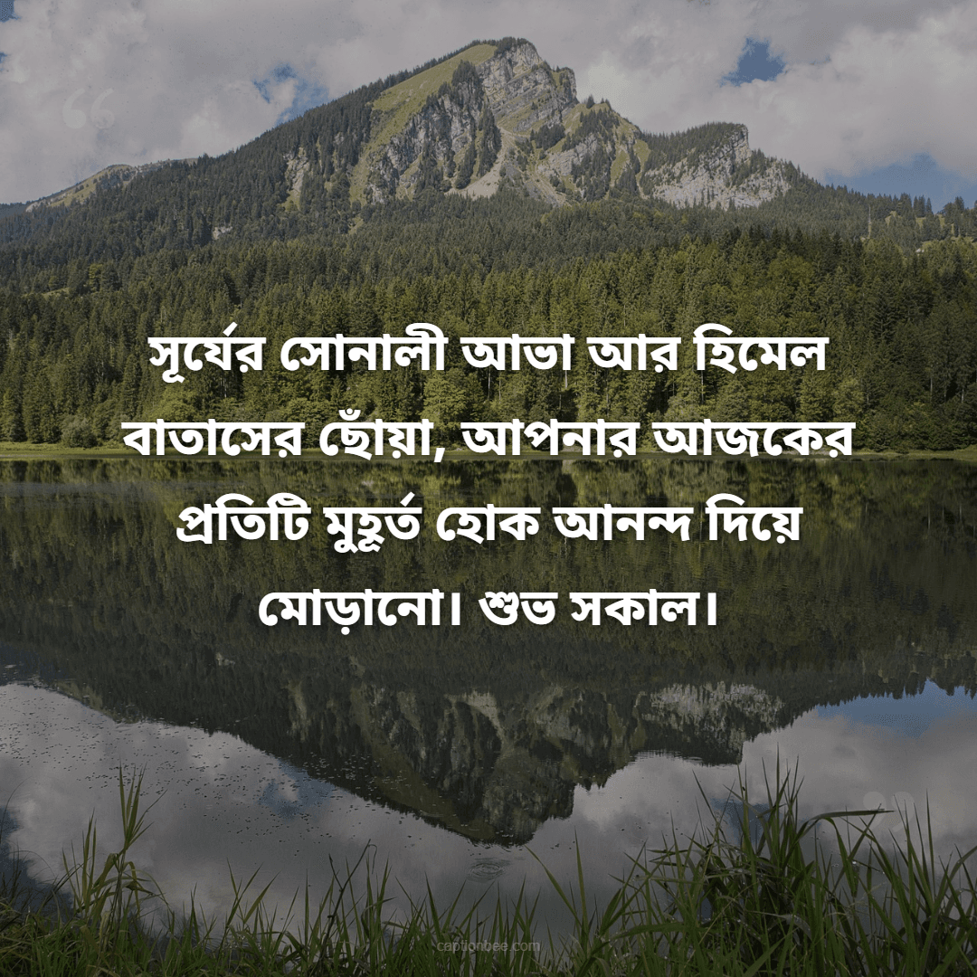 সূর্যের সোনালী আভা আর হিমেল বাতাসের ছোঁয়া, আপনার আজকের প্রতিটি মুহূর্ত হোক আনন্দ দিয়ে মোড়ানো। শুভ সকাল।