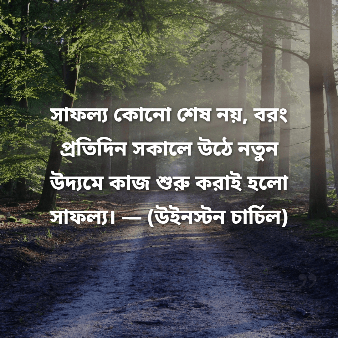 সাফল্য কোনো শেষ নয়, বরং প্রতিদিন সকালে উঠে নতুন উদ্যমে কাজ শুরু করাই হলো সাফল্য। — উইনস্টন চার্চিল