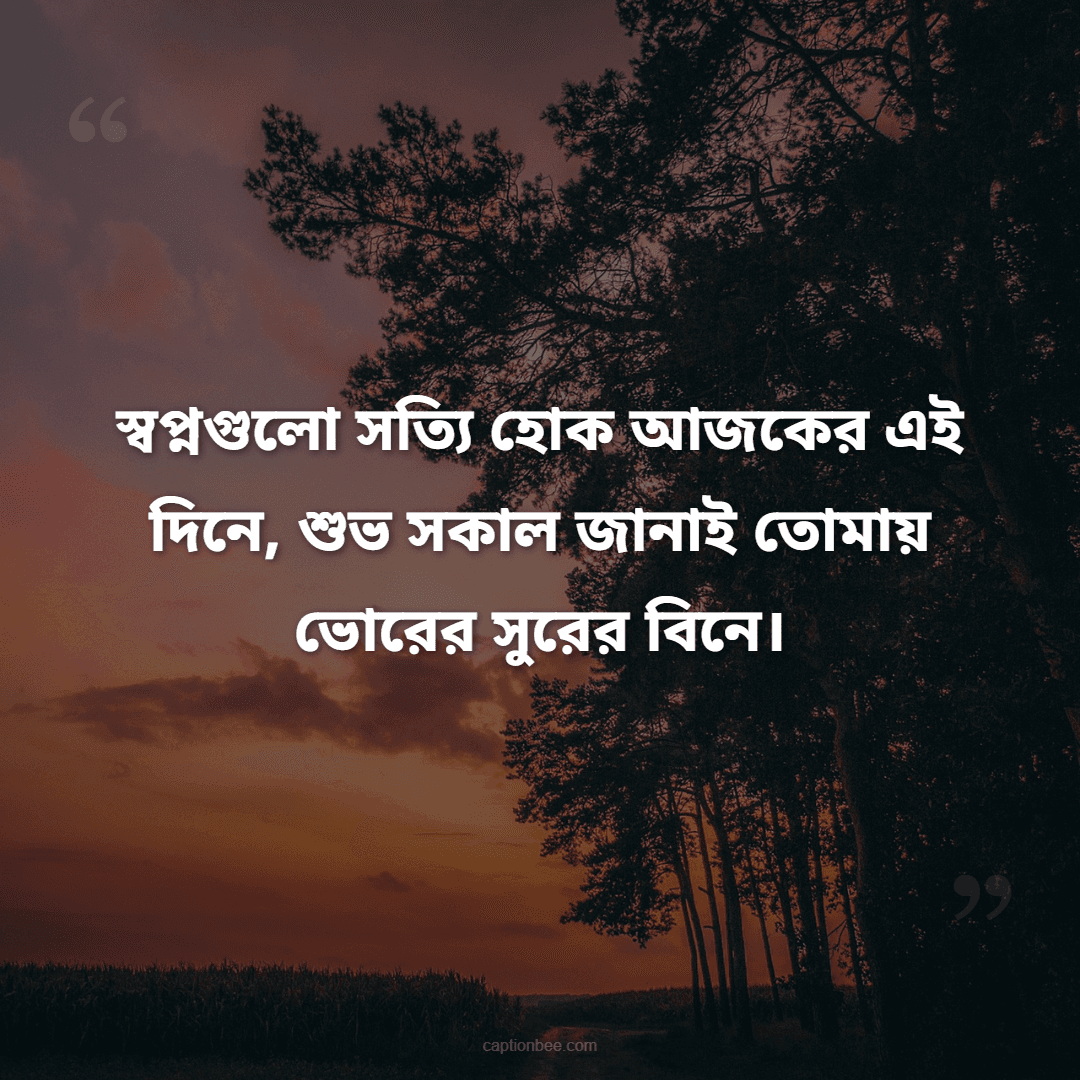 স্বপ্নগুলো সত্যি হোক আজকের এই দিনে, শুভ সকাল জানাই তোমায় ভোরের সুরের বিনে।