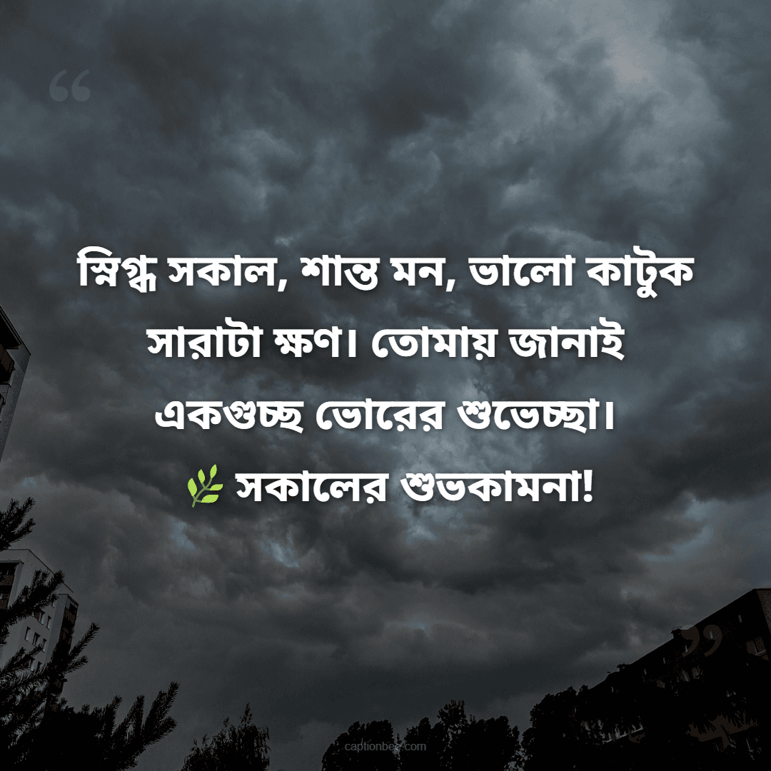 স্নিগ্ধ সকাল, শান্ত মন, ভালো কাটুক সারাটা ক্ষণ। তোমায় জানাই একগুচ্ছ ভোরের শুভেচ্ছা। সকালের শুভকামনা!
