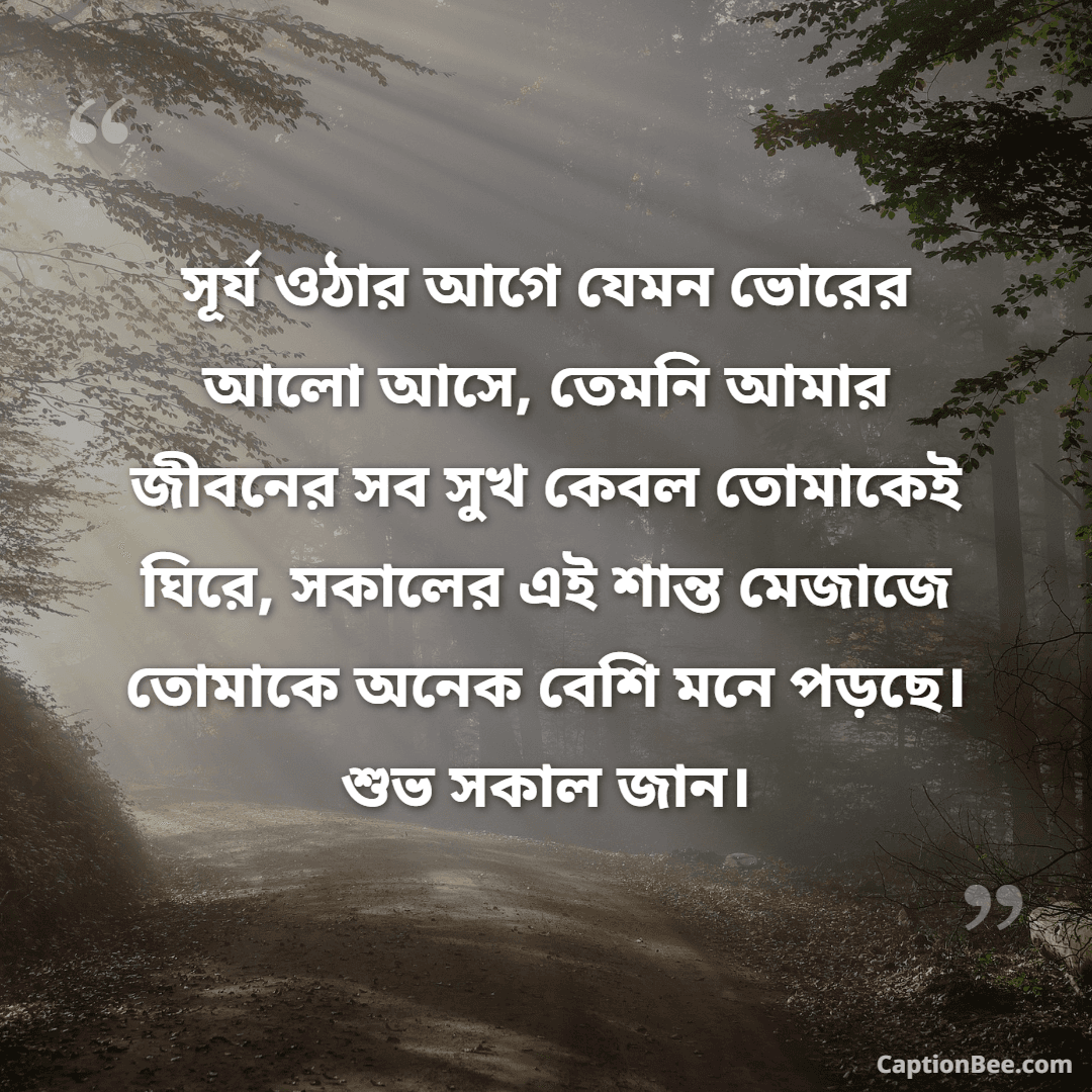 সূর্য ওঠার আগে যেমন ভোরের আলো আসে, তেমনি আমার জীবনের সব সুখ কেবল তোমাকেই ঘিরে, সকালের এই শান্ত মেজাজে তোমাকে অনেক বেশি মনে পড়ছে। শুভ সকাল জান।